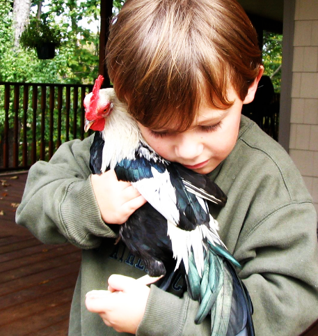 Pleasant Animal Hospital Home